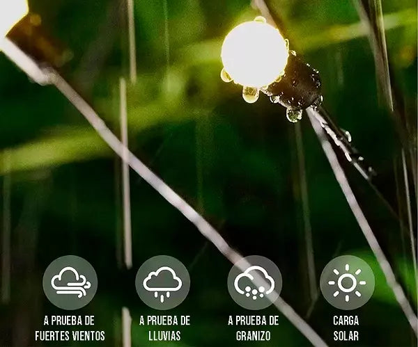 Luz Led tendencia Magestic